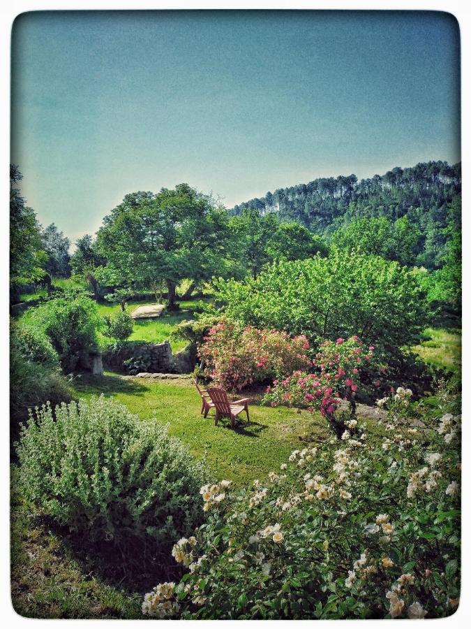 Oracines Du Calme Maison Helianthy Sanilhac  Exterior foto